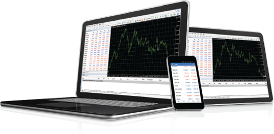 Forex ceo